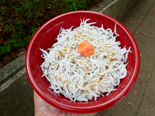 しらす丼